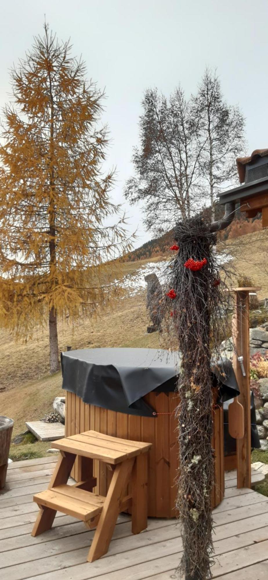 Chesa Sper L'Ovel Brail Apartment Zernez Luaran gambar