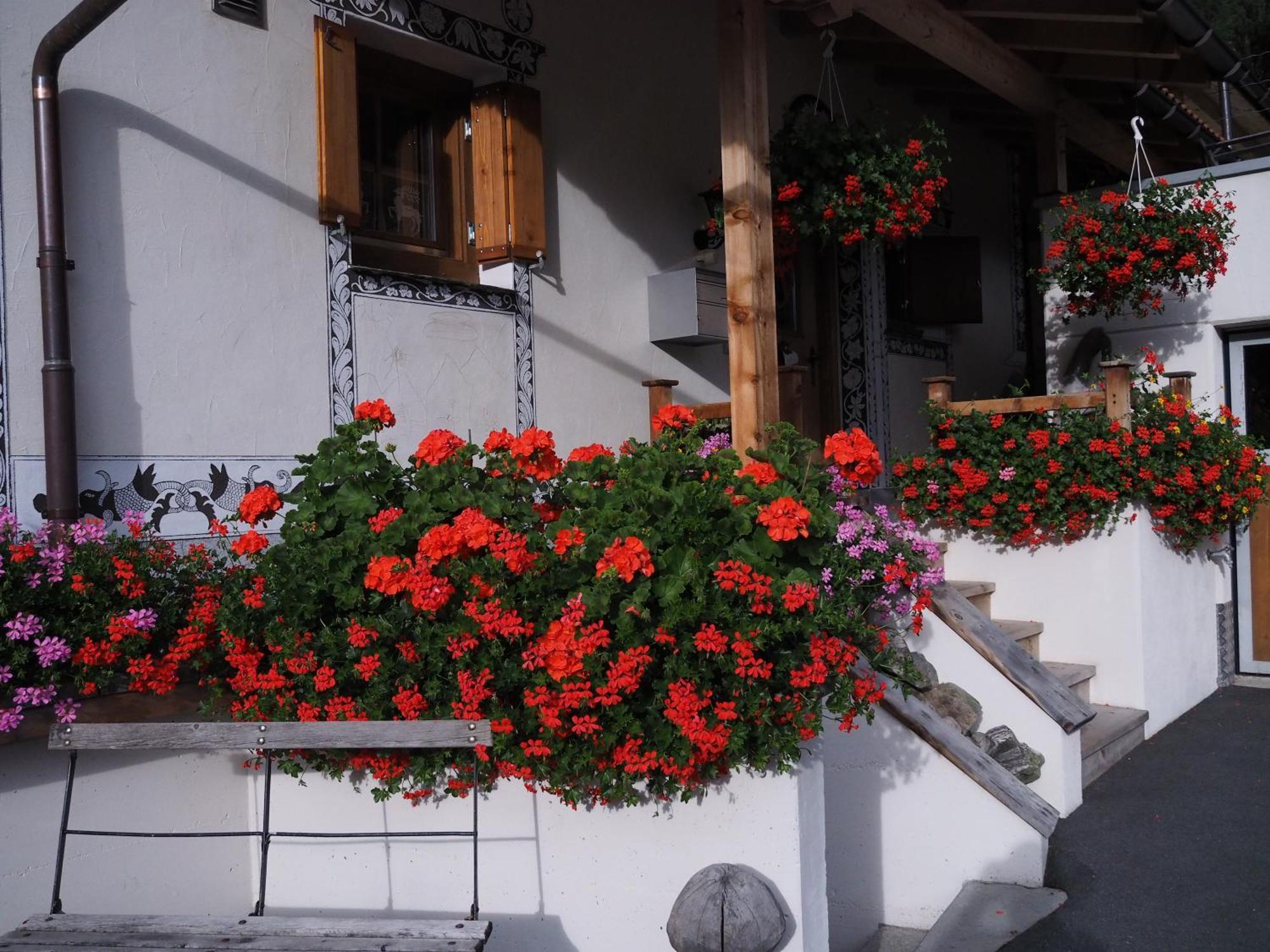Chesa Sper L'Ovel Brail Apartment Zernez Luaran gambar