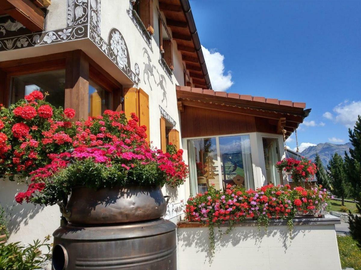 Chesa Sper L'Ovel Brail Apartment Zernez Luaran gambar